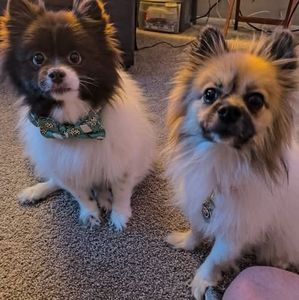 Meet your Posher, Cresa